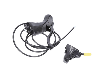 CAMPAGNOLO Ekar Gravel Gruppe 1x13 165 mm 44 Zhne 9 - 36 Zhne