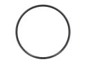 R2BIKE Wheelset 29" XC | Tune MTB Straightpull 6-Hole Hubs | Porte Carbon Rims