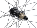 NONPLUS COMPONENTS Wheelset 29" EN349 6-Hole | Carbon Rims | Sapim D-Light