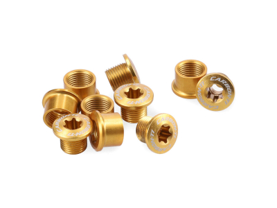 CARBON-TI Chainring Bolts X-Fix LK 107 BCD 2x gold