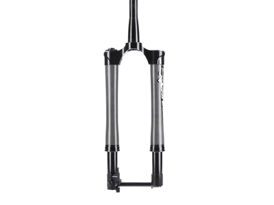 BRIGHT RACING SHOCKS Suspension Fork F929-E xCO 100 mm 29 15x110 mm BOOST | 45 mm Offset