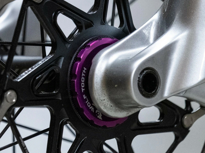WOLFTOOTH Center Lock Ring for Quick Release and 12/15/20 mm Thru Axles | black