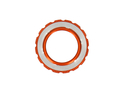 WOLFTOOTH Center Lock Ring für Schnellspanner und 12/15/20 mm Steckachsen | orange