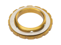 WOLFTOOTH Center Lock Ring for Quick Release and 12/15/20 mm Thru Axles | gold