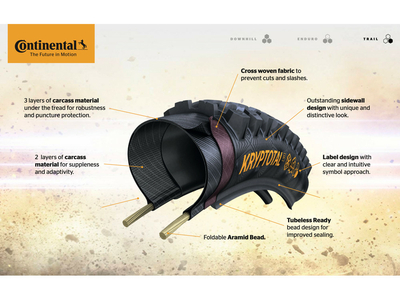 CONTINENTAL Reifen Kryptotal-R 29 x 2,60 Endurance-Compound Trail-Casing