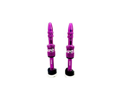 E*THIRTEEN Ventil Set tubeless Quick Fill Plasma Valve | 23-30 mm Felgenhöhe | eggplant