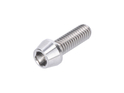 Titanium Screw M6x18 conical silver