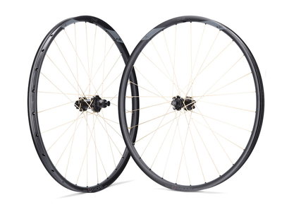 PI ROPE Wheelset 29" FADE 6-Loch Evolution SL A.30 Aluminum | Golden Shine