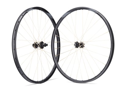 PI ROPE Wheelset 29" FADE 6-Loch Evolution SL A.30 Aluminum | Golden Shine 12- speed Shimano Micro Spline