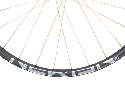 PI ROPE Laufradsatz 29 FADE 6-Loch Advanced SL X.A.30 Carbon | Golden Shine