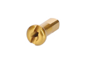 DT SWISS Speichennippel Aluminium 2 mm | 12 mm gold