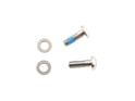 SRAM Screws Titanium | for Flat Mount Caliper mount 17 mm