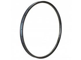 DUKE Rim 29" Lucky Jack SLS4 6Ters 26 UD-Carbon