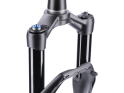 DT SWISS Suspension Fork 29" F 232 One 120 mm Two in One Remote tapered BOOST schwarz 44 mm Offset