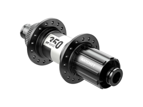 DT SWISS Rear Hub 350 Classic Center Lock 12x142 mm Thru...