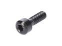 OAK COMPONENTS Screw Set for Eternal Stem | Titan | black