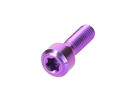 OAK COMPONENTS Screws Set for Eternal Stem | Titan | purple