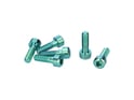 OAK COMPONENTS Screw Set for Eternal Stem | Titan | green