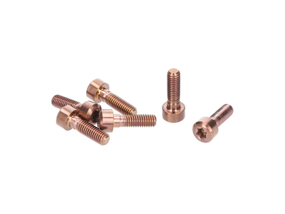 OAK COMPONENTS Screw Set for Eternal Stem | Titan | copper