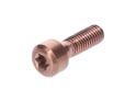 OAK COMPONENTS Screw Set for Eternal Stem | Titan | copper
