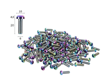 Titanium Screw M6x20 with Chamfer | oil slick