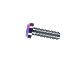 Titanium Screw M6x20 with Chamfer | oil slick