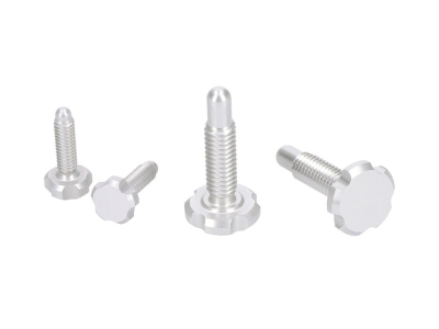 OAK COMPONENTS CPA+EPA-Screw Set for Root Lever Pro | silver