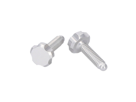 OAK COMPONENTS CPA+EPA-Screw Set for Root Lever Pro | silver