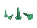 OAK COMPONENTS CPA+EPA-Screw Set for Root Lever Pro | green