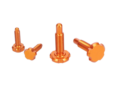 OAK COMPONENTS CPA+EPA-Schrauben Set fr Root Lever Pro |...