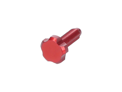 OAK COMPONENTS CPA+EPA-Screw Set for Root Lever Pro | red