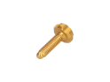 OAK COMPONENTS CPA+EPA-Screw Set for Root Lever Pro | gold