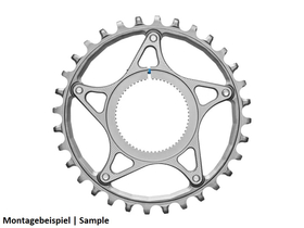 ABSOLUTE BLACK E-Bike Chainring Spider for Specialized SL...