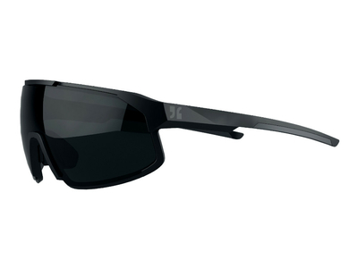 DIRTLEJ Sunglasses specs 02 | black