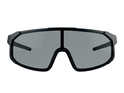 DIRTLEJ Sonnenbrille specs 02 | photochromic