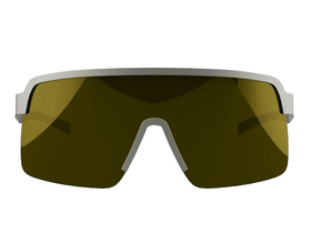 DIRTLEJ Sunglasses specs 03 | gold