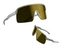 DIRTLEJ Sunglasses specs 03 | gold