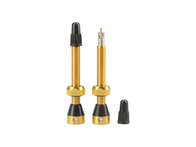 TUBOLIGHT Tubeless Ventil Set universal Aluminium | 50 mm | gold