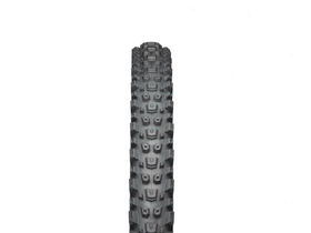 TERAVAIL Tire WARWICK 29 x 2.5 Light and Supple FC | black