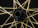 PI ROPE Wheelset 29" Light 6-Holes Bike Ahead Two Six | Golden Shine 11-, 12- speed SRAM XD