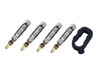 BBB CYCLING Tubeless Valve Set | BTI-161