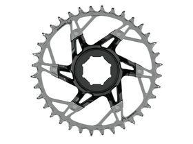 SRAM Eagle Brose Kettenblatt Direct Mount | silver/black