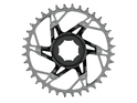 SRAM T-Type Eagle Brose Kettenblatt Direct Mount | silver/black 36 Teeth