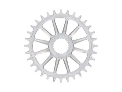 GARBARUK Chainring E-Bike Direct Mount for Bosch Motor | silver