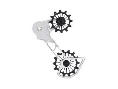 FRAEZEN derailleur system KAEFIG | SRAM Eagle AXS | SRAM Eagle mechanic | nature