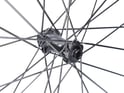 DT SWISS Front Wheel 28" HE 1800 Spline 23 Center Lock | black