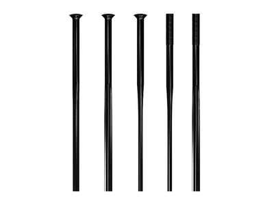 DT SWISS Speiche Revolite Straightpull schwarz 302 mm