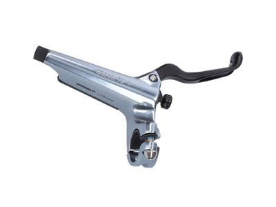 TRP DH-R EVO front | silver