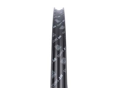 DT SWISS Rear Wheel 28
