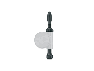 SKS Ersatzventil fr Reifendrucksensor Airspy TL Set 67 mm
